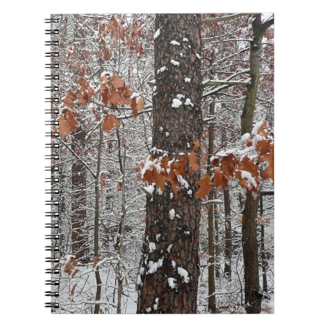 Snow Covered Oak Trees Winter Nature Photography Notebook (Front)