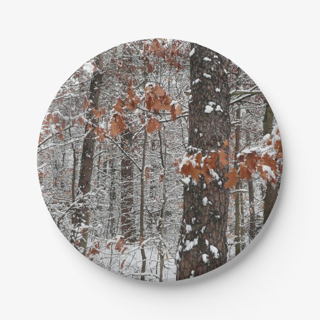 Snow Covered Oak Trees Winter Nature Photography Paper Plate (Front)