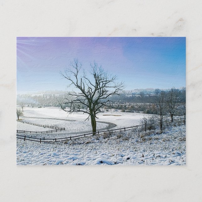 Snow Covered Ozark Hills Postcard (Front)