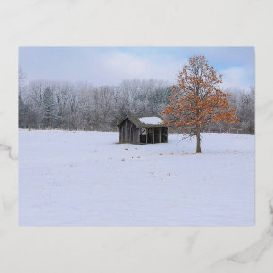Snow Covered Paddock Foil Holiday Postcard