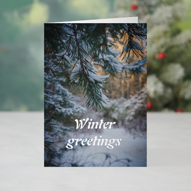 Snow-covered pine branches foil holiday card (Holiday In Situ)