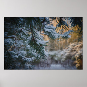 Snow-covered pine tree in the winter forest poster