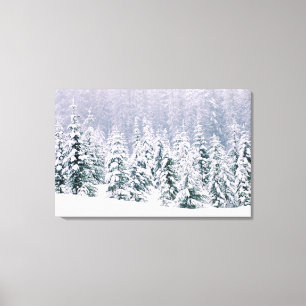 Snow covered pine trees canvas print
