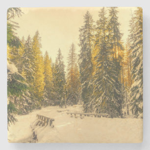 Snow Covered Pine Trees Forest Nature Photo Stone Coaster