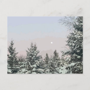 Snow Covered Pine Trees Moon Sunset Postcard