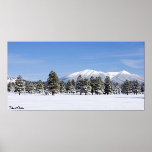 Snow Covered Pines, Prairie & San Francisco Peaks Poster