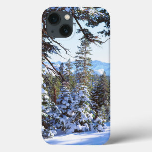 Snow-covered Red Fir trees in the High Sierra 2 iPhone 13 Case