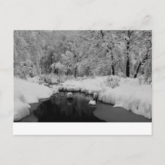 Snow covered stream postcard