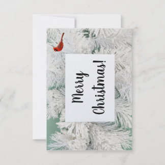 Snow Covered Tree Custom Christmas Card