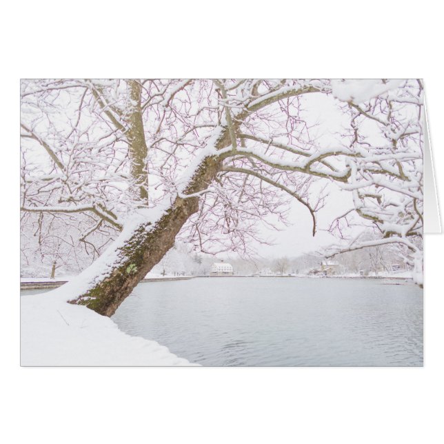 snow covered tree embraces pond (Front Horizontal)