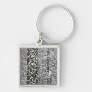 Snow covered tree trunks in Yosemite valley - Keychain