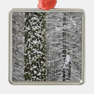 Snow covered tree trunks in Yosemite valley - Metal Ornament