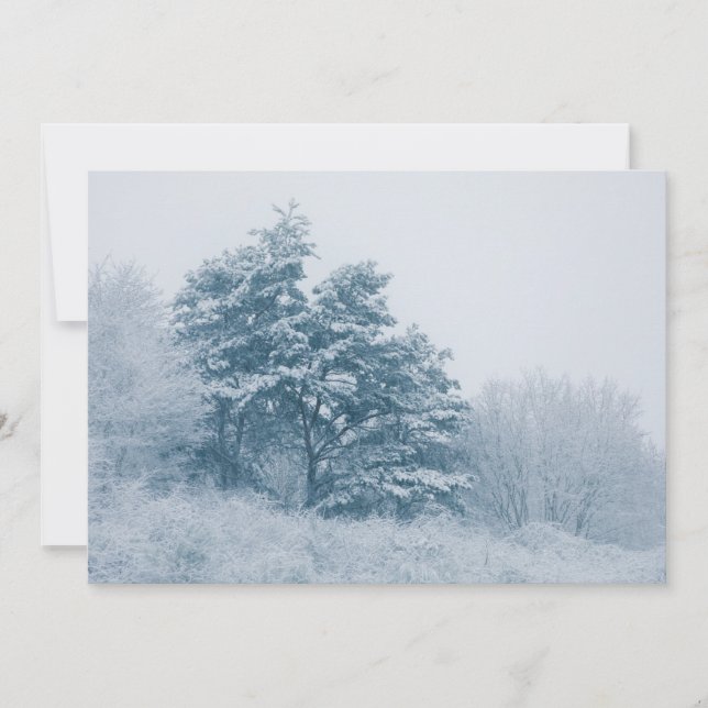 Snow-covered Tree Winter Nature Photo Card (Front)