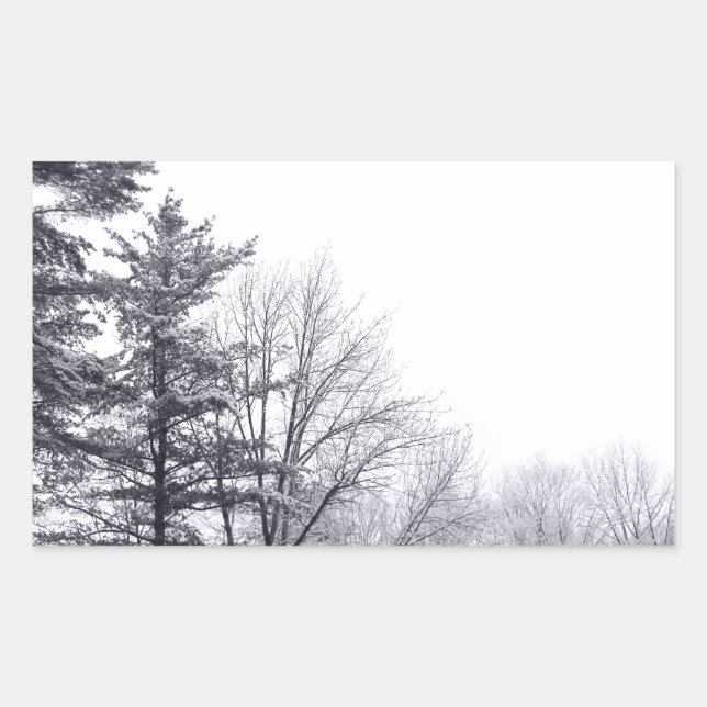 Snow-covered Trees: Horizontal Sticker (Front)