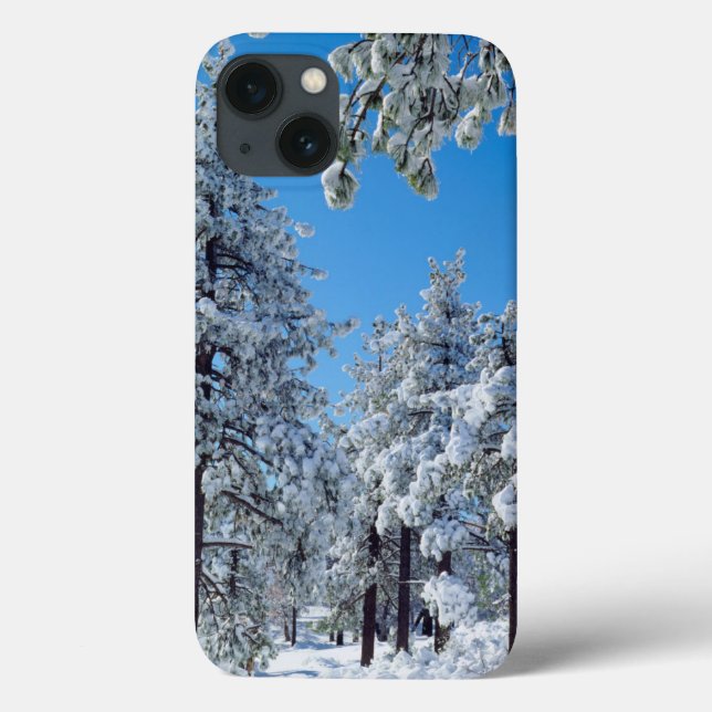 Snow-covered trees in the Laguna Mountains Case-Mate iPhone Case (Back)