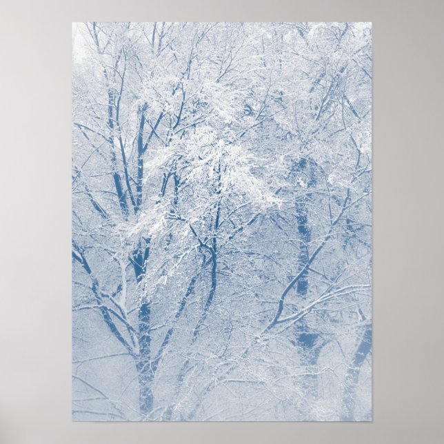 Snow-covered Trees Winter Nature Photo Poster (Front)