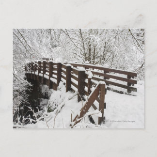 Snow Covered Wooden Bridge Postcard