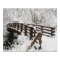 Snow Covered Wooden Bridge