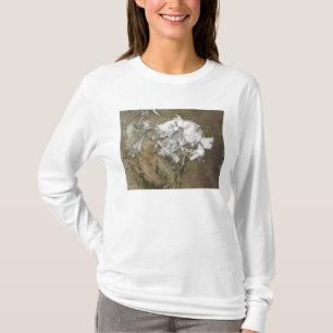 Snow covers the Rocky Mountains in United State T-Shirt