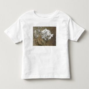 Snow covers the Rocky Mountains in United State Toddler T-shirt