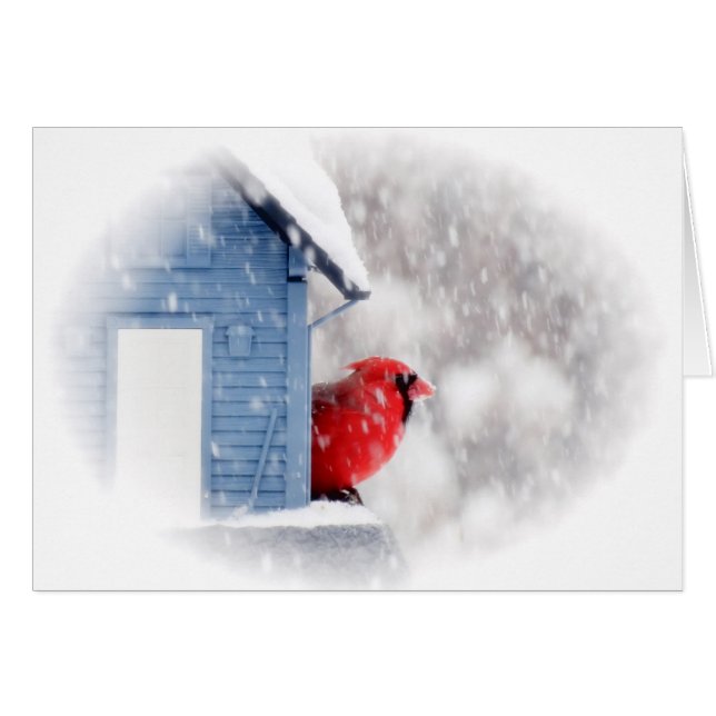 Snow Day Cardinal - Bird (Front Horizontal)
