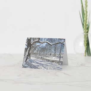 Snow Day in Central Park Holiday Card