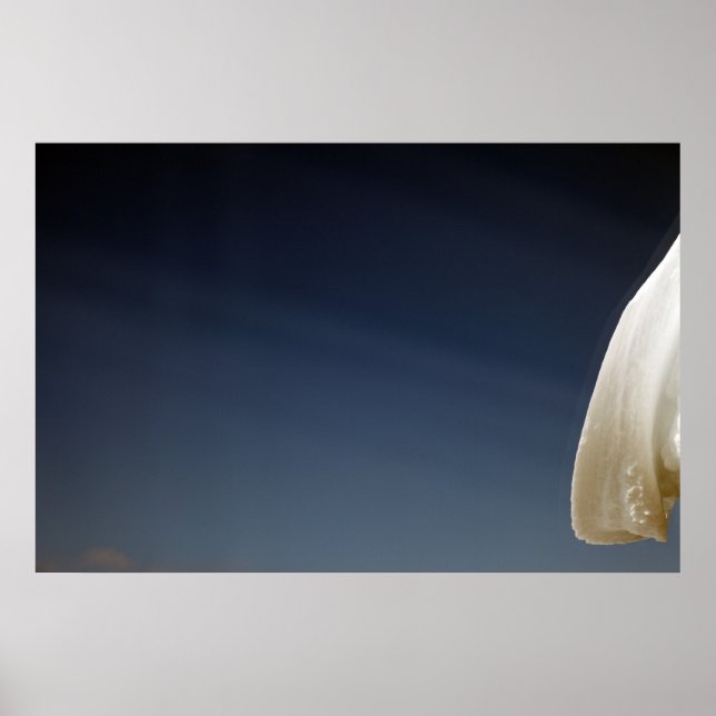 Snow day poster (Front)