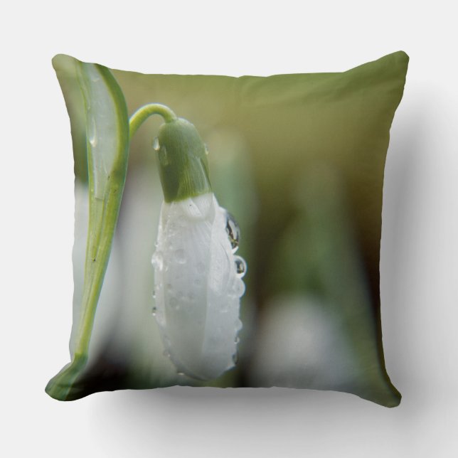 Snow Drop Throw Pillows (Front)