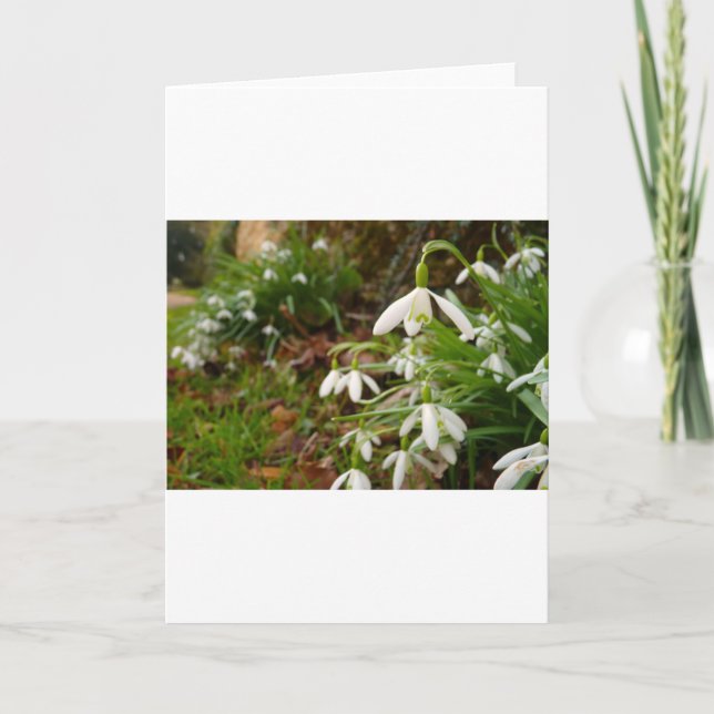 Snow Drops Card (Front)