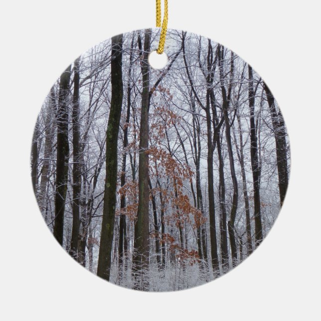 Snow Dusted Forest Winter Landscape Photography Ceramic Ornament (Front)