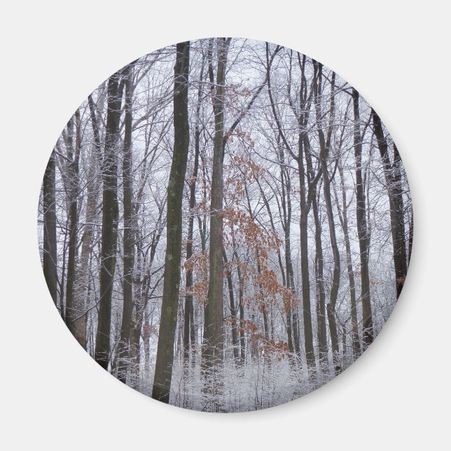 Snow Dusted Forest Winter Landscape Photography Magnet (Front)