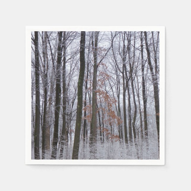 Snow Dusted Forest Winter Landscape Photography Napkin (Front)