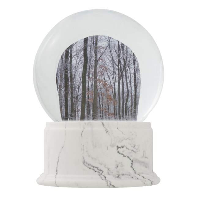 Snow Dusted Forest Winter Landscape Photography Snow Globe (Front)