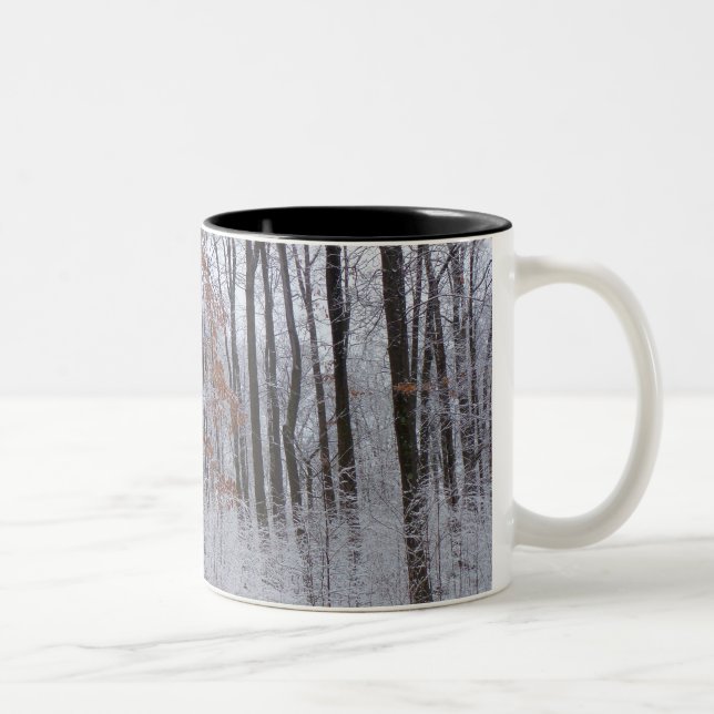 Snow Dusted Forest Winter Landscape Photography Two-Tone Coffee Mug (Right)