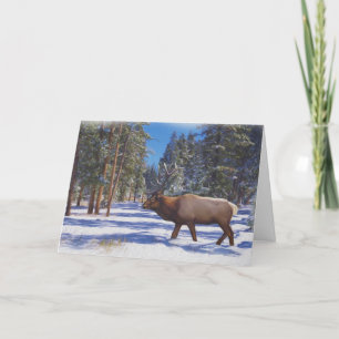 Snow Elk Holiday Card