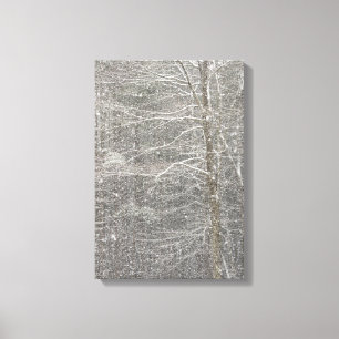 Snow Falling Canvas Print