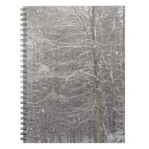 Snow Falling Notebook
