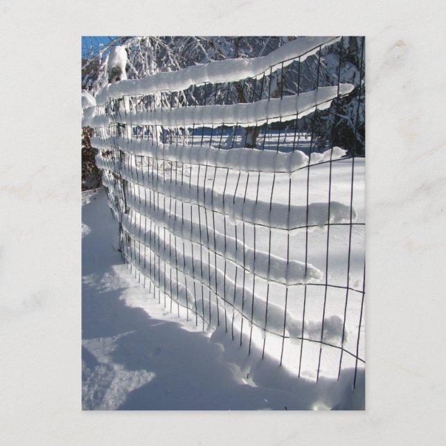 Snow Fence ~ Carte postale (Devant)