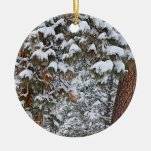 Snow fills the boughs of ponderosa pine trees ceramic ornament