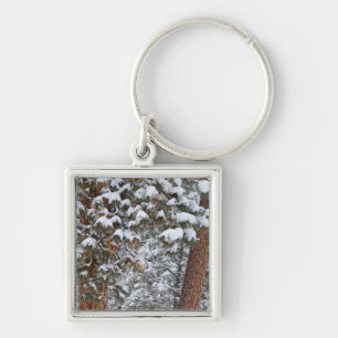 Snow fills the boughs of ponderosa pine trees keychain