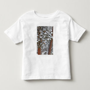 Snow fills the boughs of ponderosa pine trees toddler t-shirt