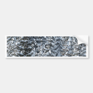 Snow Fir Tree Texture Bumper Sticker