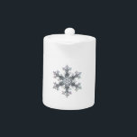 Snow flake<br><div class="desc">photograph of a real snow flake</div>