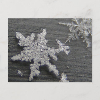 Snow Flake 45 ~ postcard