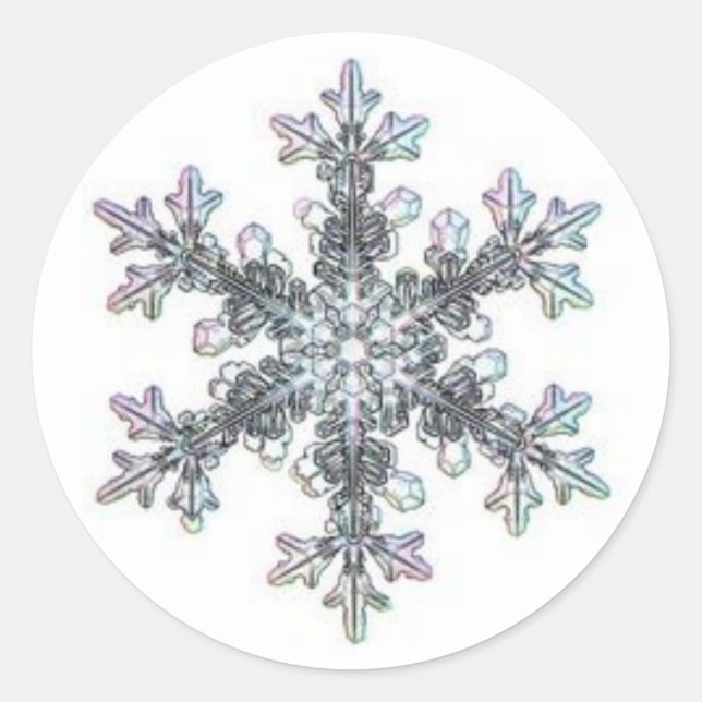 Snow flake classic round sticker (Front)