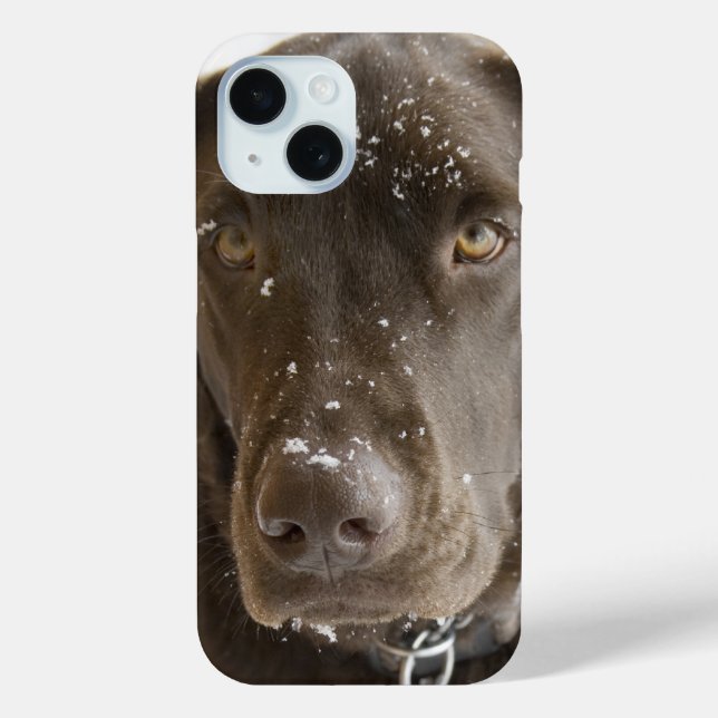 Snow Flake Covered Chocolate Lab Photo Close Up Case-Mate iPhone Case (Back)