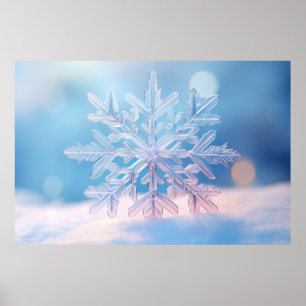 Snow Flake Nature Serene Tranquil Peace Poster