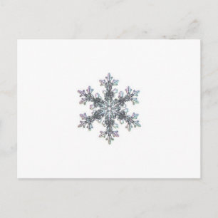 Snow flake postcard