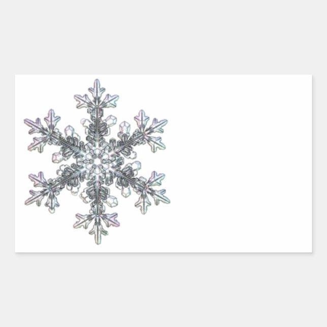 Snow flake sticker (Front)
