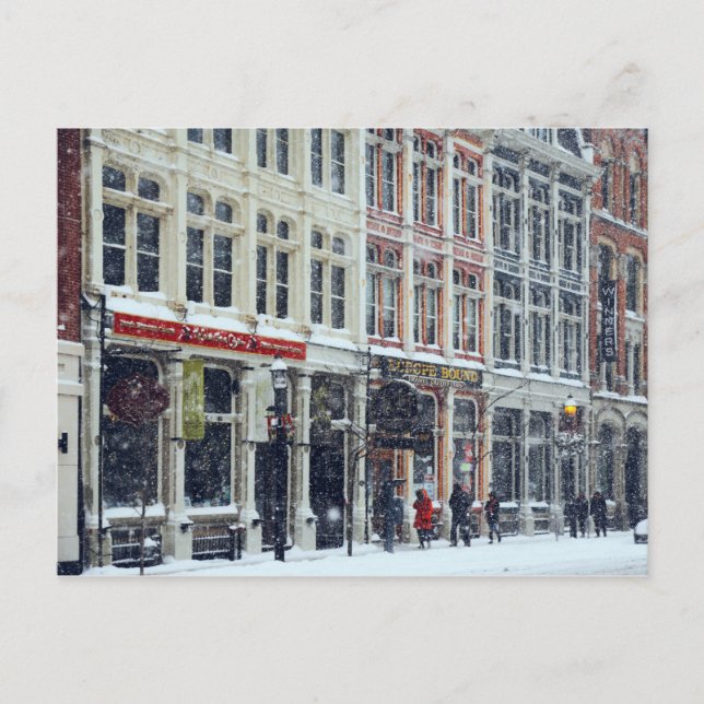 Snow flakes in Toronto Postcard (Front)